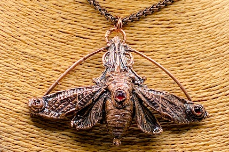 Cicada