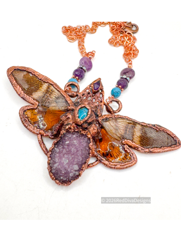 Northern Brown Cicada