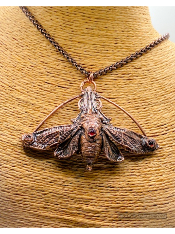 Sig the Cicada
